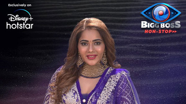 Bigg Boss Non Stop: అఖిల్ అక్కడ చేయి పెట్టాడన్న హమీదా.. ‘ప్రైవేట్ పార్ట్' వీడియో చూపించడంతో!