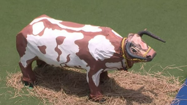 ఆవుల కొట్టం