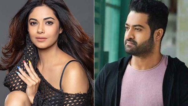ఎన్టీఆర్ గురించి వివాదాస్పదంగా