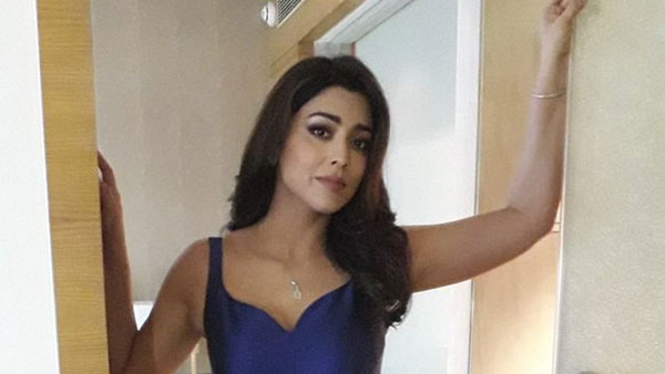 తెలుగులోనే కాదు.. అక్కడా క్రేజ్