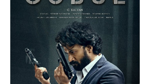 నటీనటుల పని తీరు విషయానికి వస్తే :