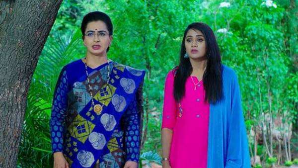 బావను హిమను కలిపేందుకు