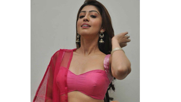 బడా హీరోలతో కలిసి సందడి