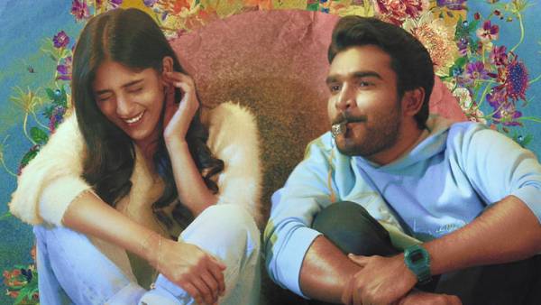 దర్శకుడి పనితీరు..