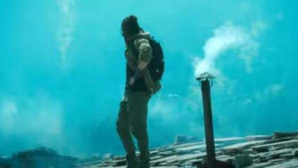 వైల్డ్ సాలే..