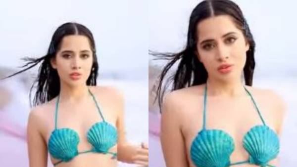 ఉర్పీ జావెద్ కెరీర్ ఇలా..