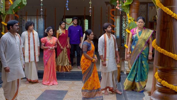 బొప్పాయి పండు కలిపి?
