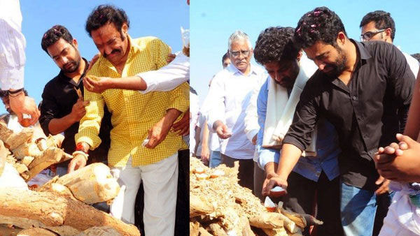 బుధవారం నాడు