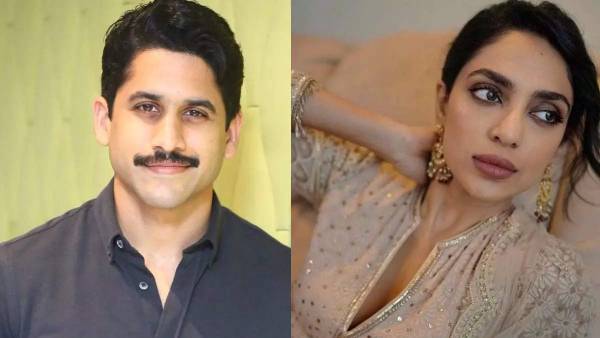 దాఖలాలు లేవు