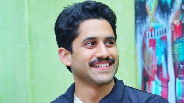 2009లో జోష్ సినిమాతో