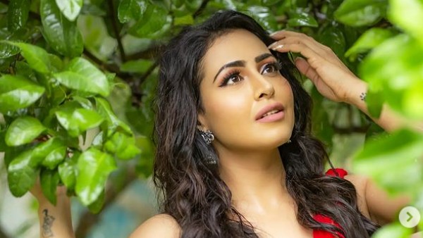 హీరోయిన్గా... తెలుగులోనూ