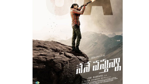 నేనే వస్తున్నా కథ ఏమిటంటే?