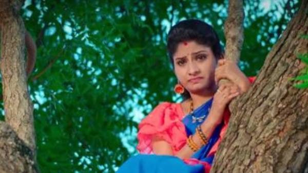 మల్లిక ప్రెగ్నెన్సీపై అనుమానం