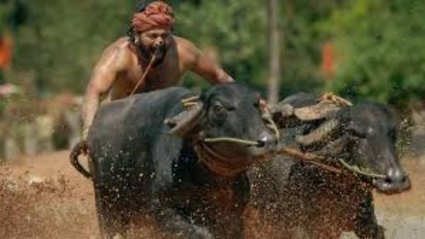 ఎమోషనల్ కంటెంట్తో
