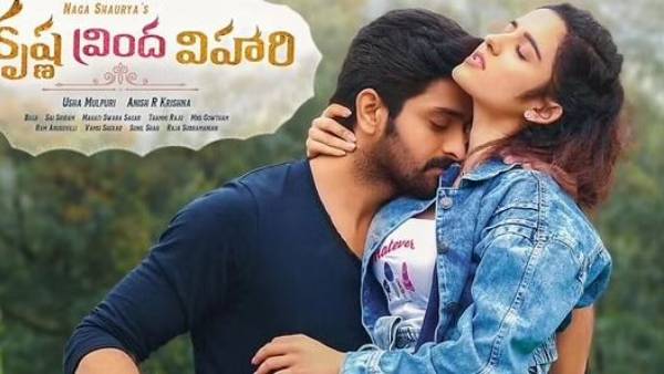 ‘కృష్ణ వ్రిందా విహారి'లో వాళ్లంతా