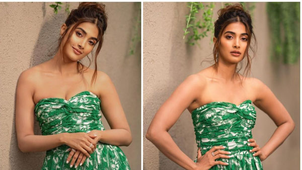 బౌన్స్ బ్యాక్