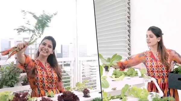విడిపోయినా సమంతతోనే నాగ చైతన్య: పక్కన లేకున్నా ఆ పని మాత్రం ఆపట్లేదట