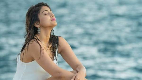 అగ్ర హీరోలతో సినిమాలు..