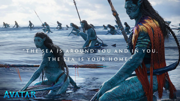 Avatar 2 the way of water movie india tickets prices shocking Avatar 2 the way of water movie india tickets prices shocking