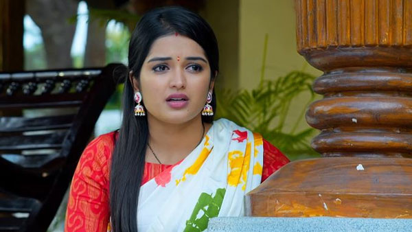 ఐపీఎస్ చదువుకు అర్థం లేదు