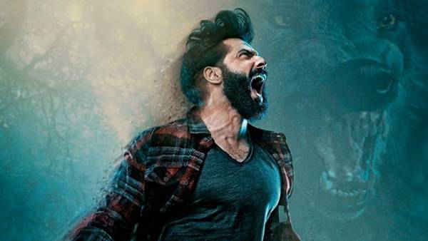 తోడేలు టార్గెట్ ఎంతంటే..