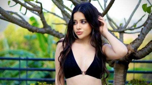 ఆ విధంగా కెరీర్ స్టార్ట్