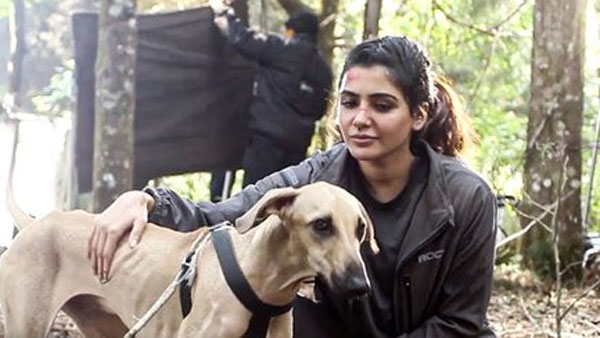 టార్గెట్ ఎంత? ఇంకెంత రావాలి