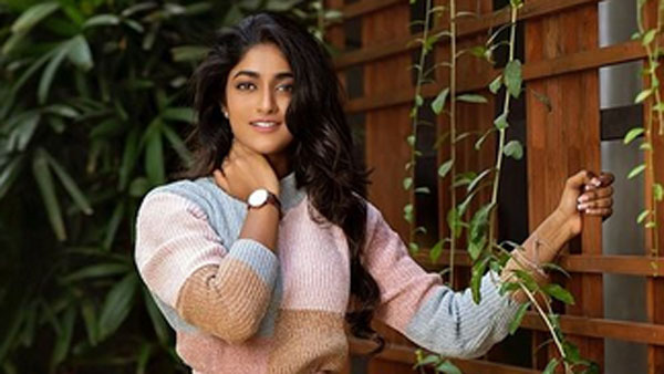 ఆ భాషలోనే వరుస చిత్రాలు
