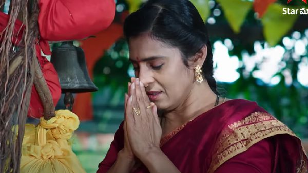 ఎక్కడ వెతికినా దొరుకుతుందని