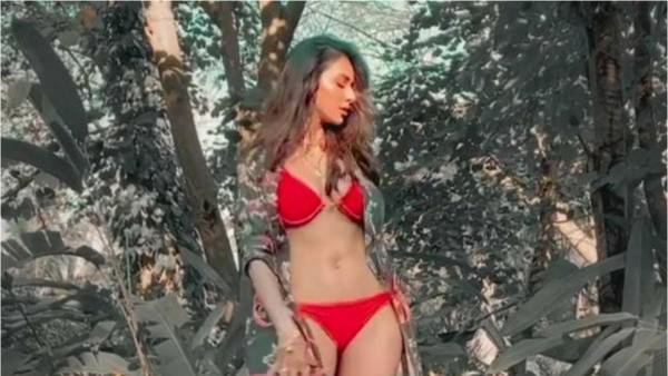 ఓటీటీలో విడుదలైన కట్ పుట్లి..