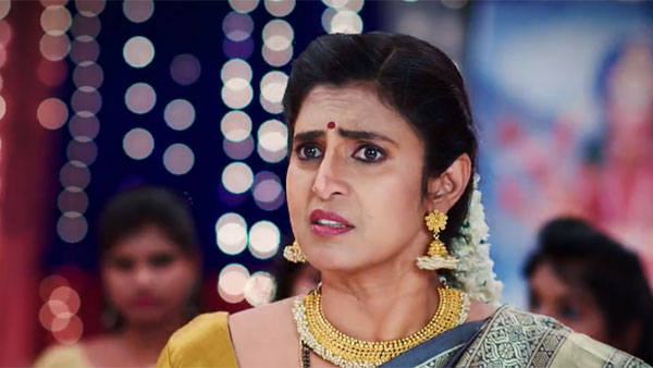 సరుకులు తీసుకెళ్లిన తులసి