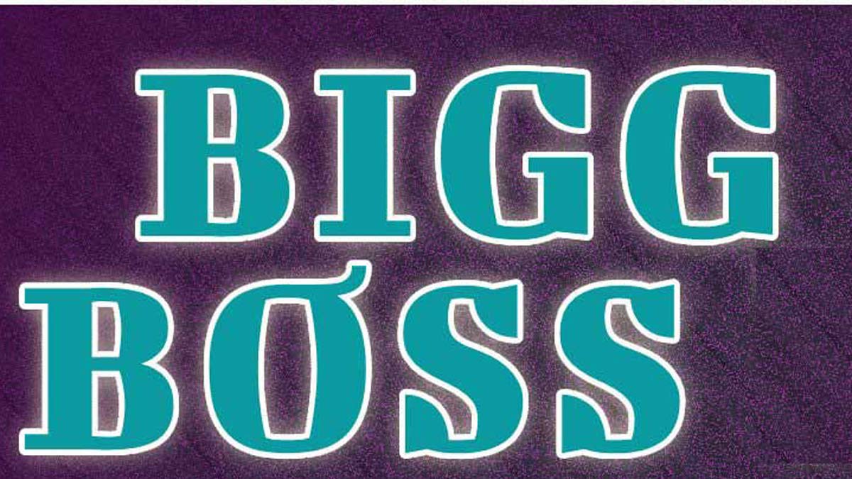 Bigg Boss Show bigg-boss-16-contestants-names-telecast-timing-of-bigg-boss-2022-bb16